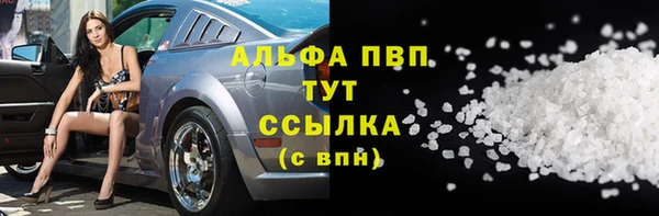 первитин Богданович