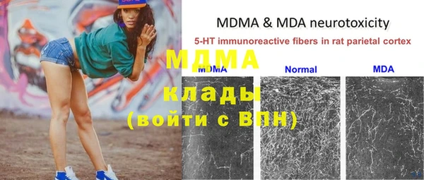 первитин Богданович