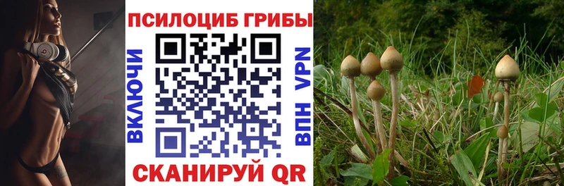 Псилоцибиновые грибы прущие грибы  блэк спрут   Тында 